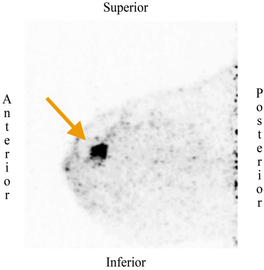 Diagnostics 05 00061 g004 1024