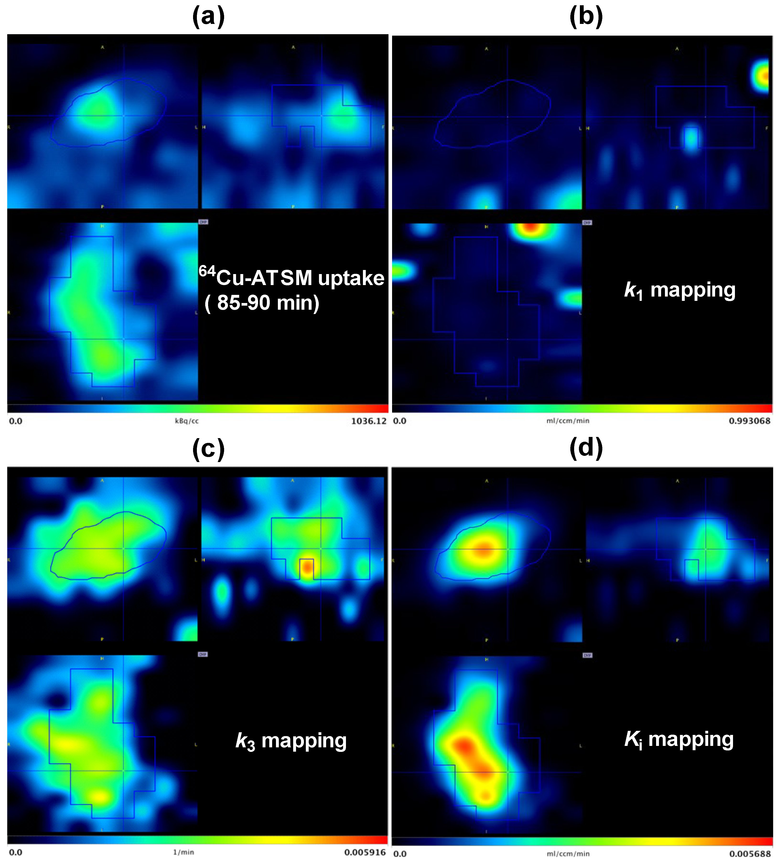 Diagnostics 05 00096 g005