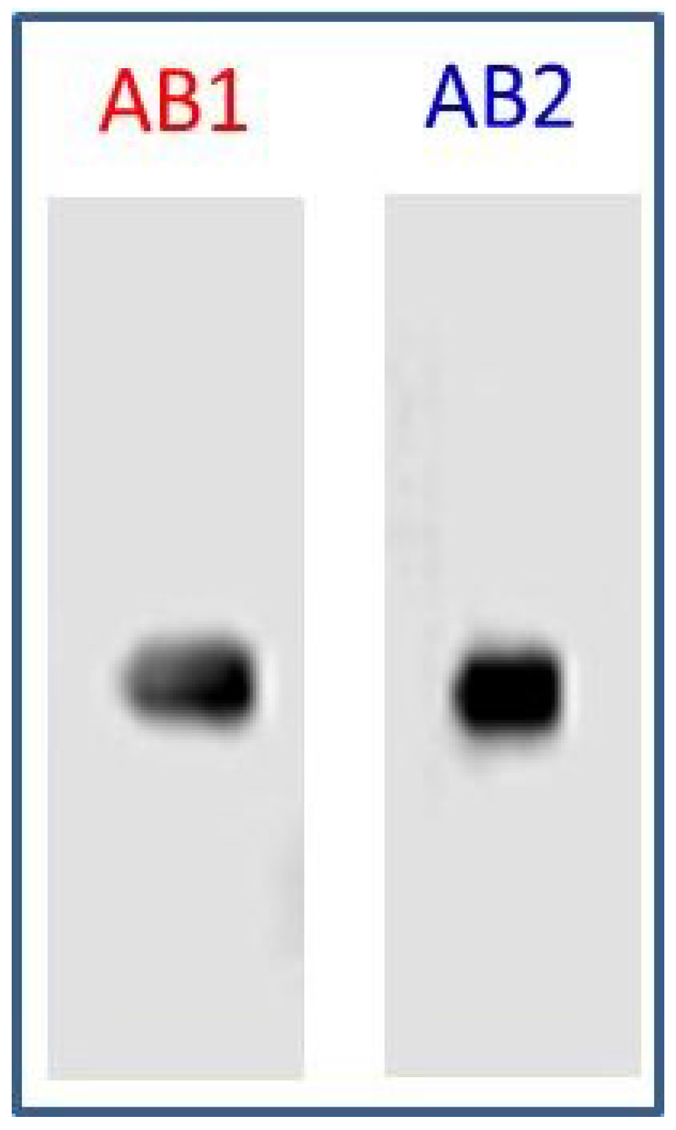 Diagnostics 05 00177 g003 1024