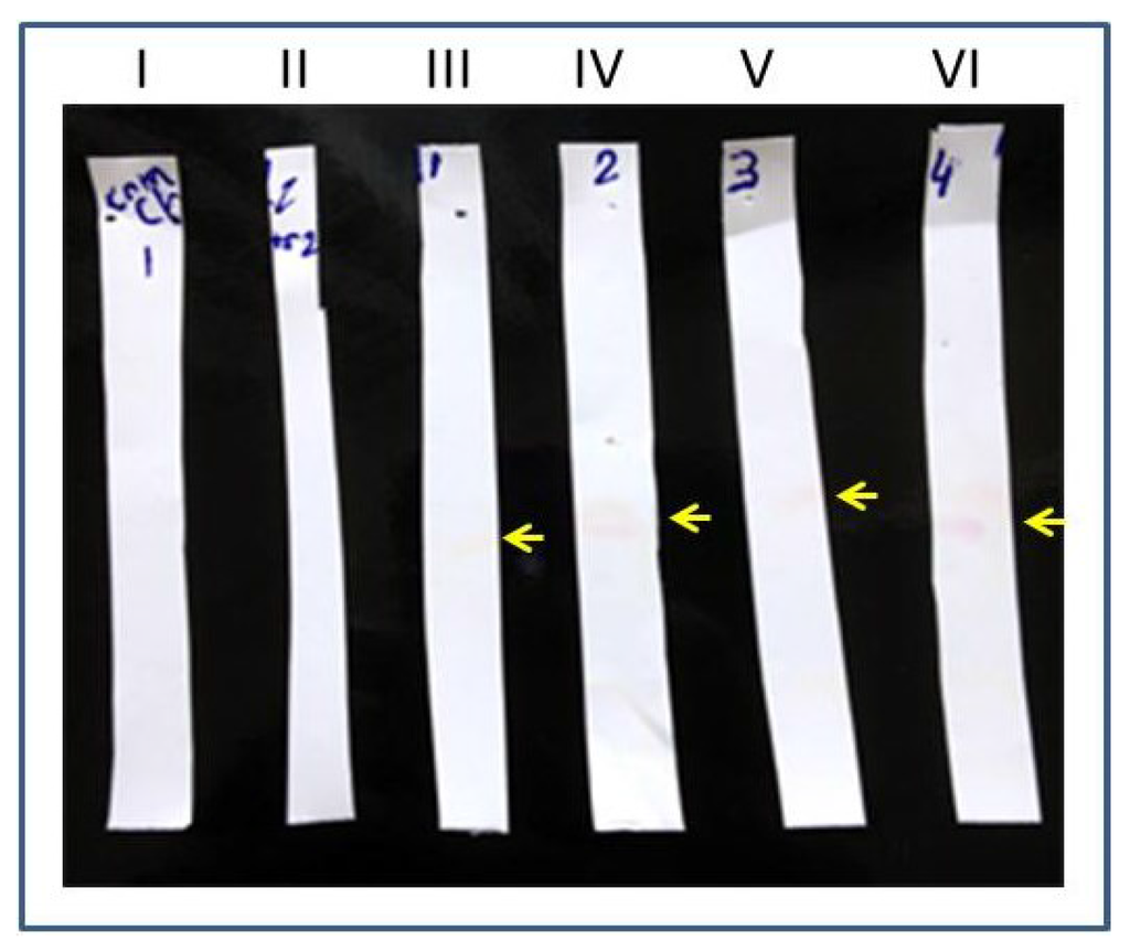 Diagnostics 05 00177 g005 1024