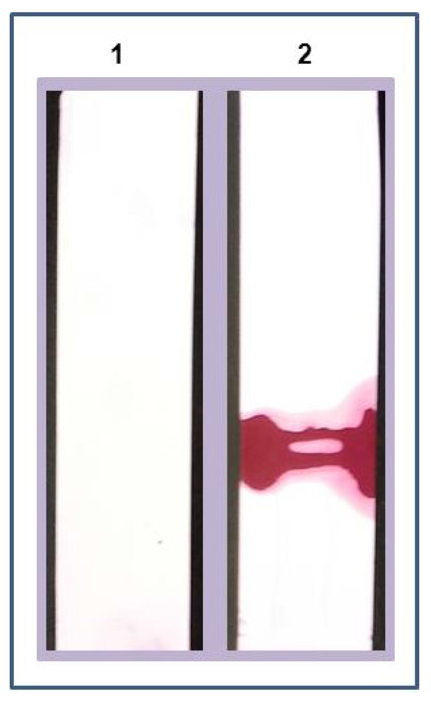 Diagnostics 05 00177 g006 1024