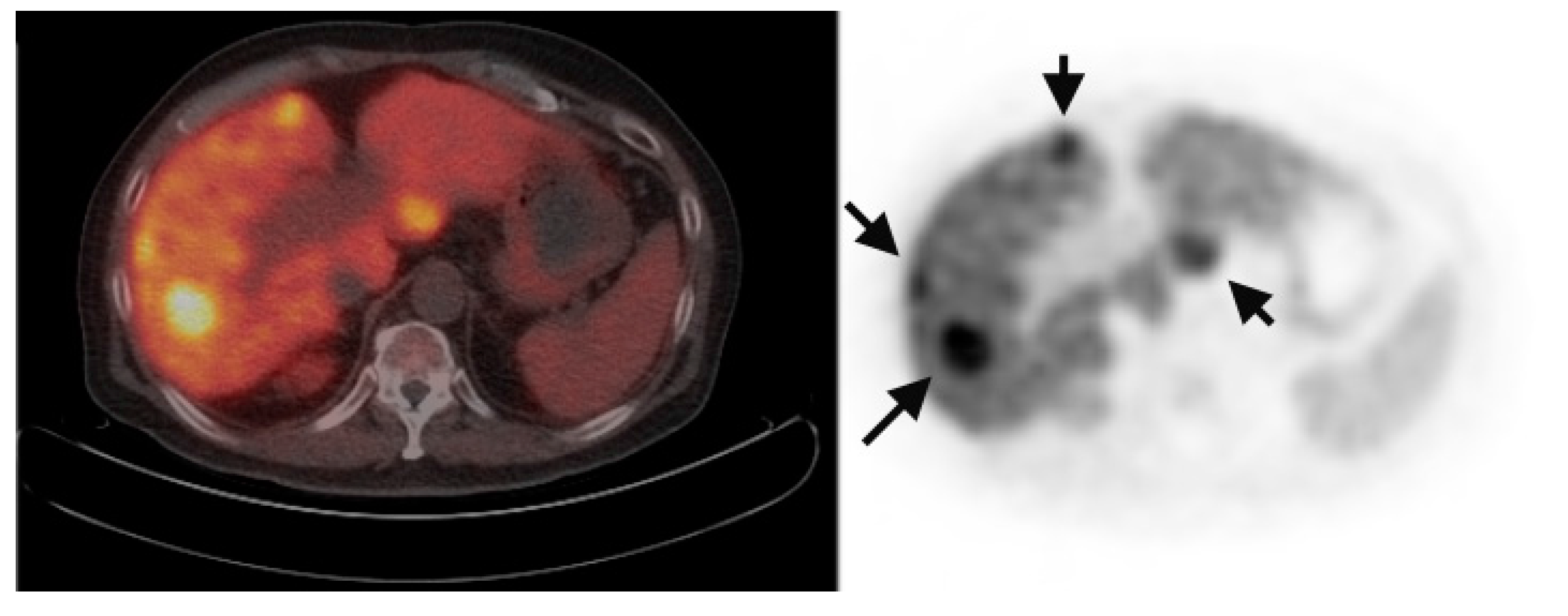 Diagnostics 05 00189 g001