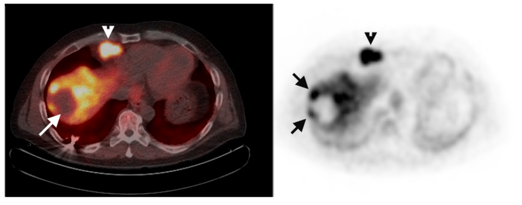 Diagnostics 05 00189 g002 1024