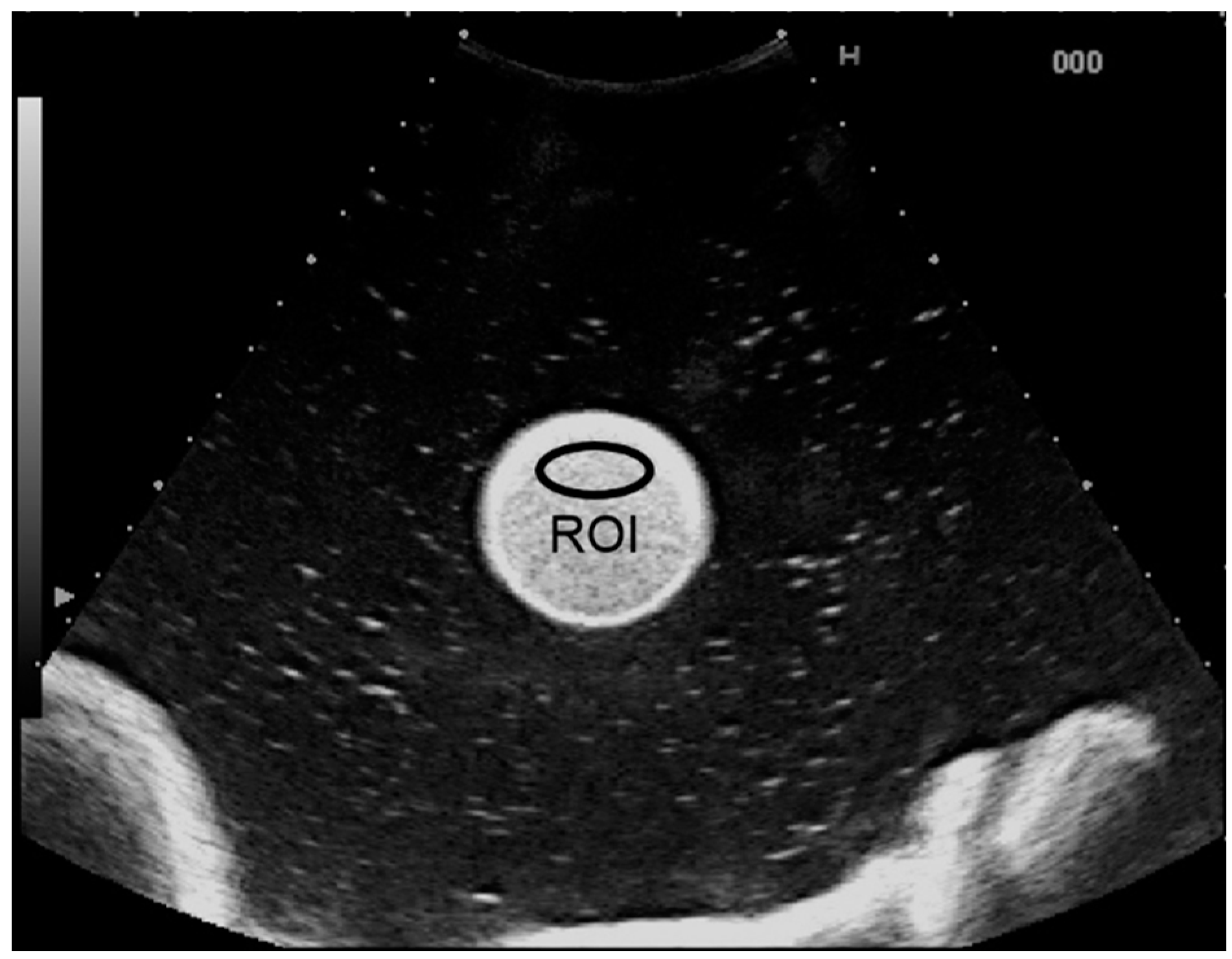 Diagnostics 05 00210 g002