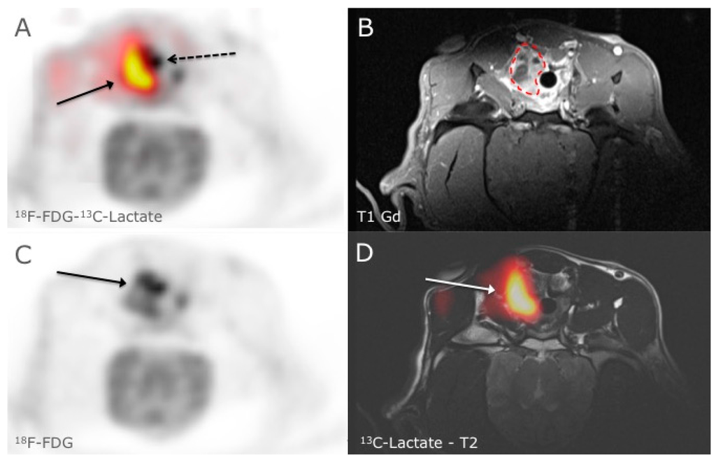 Diagnostics 05 00287 g001 1024