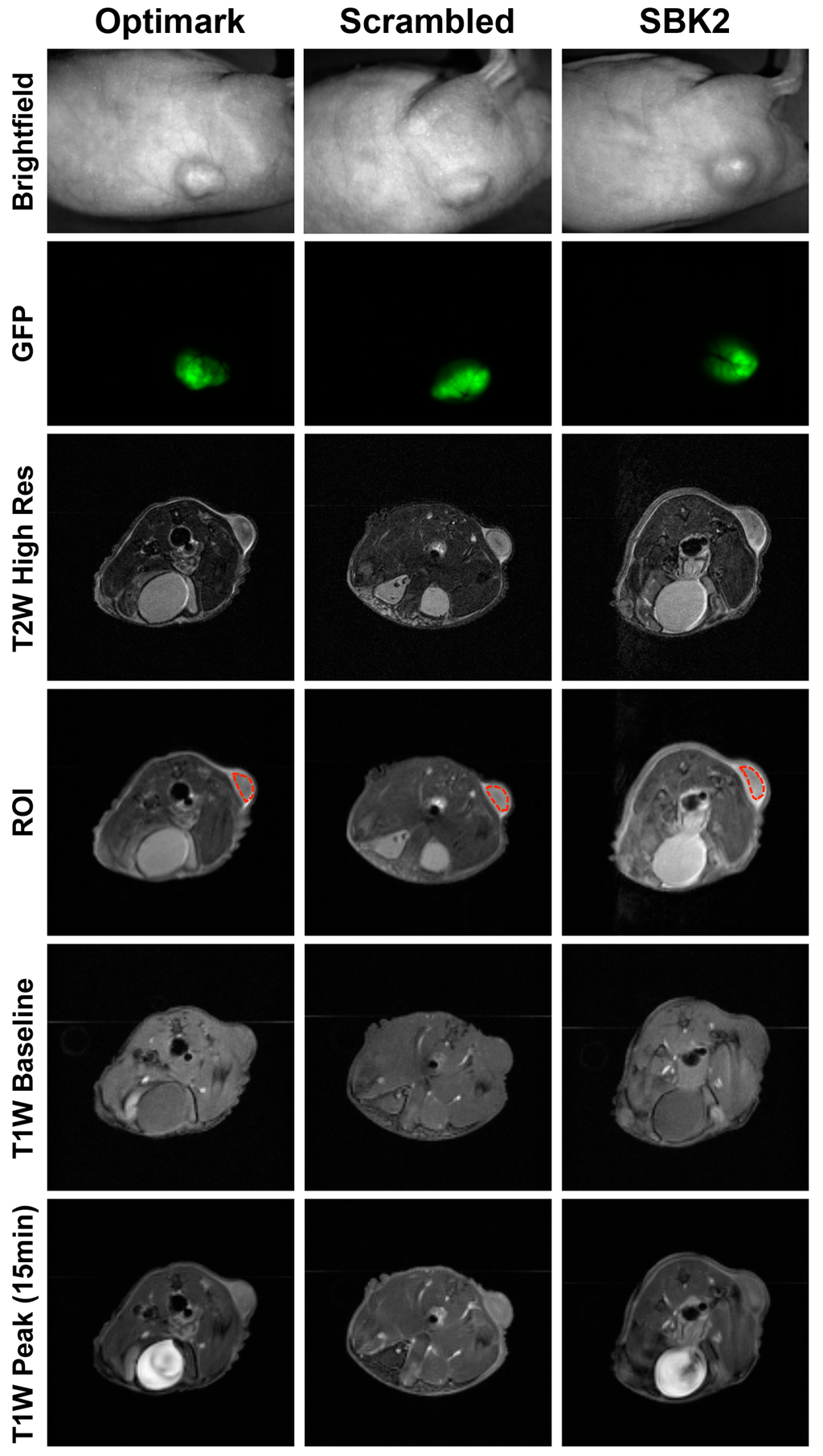 Diagnostics 05 00318 g001 1024