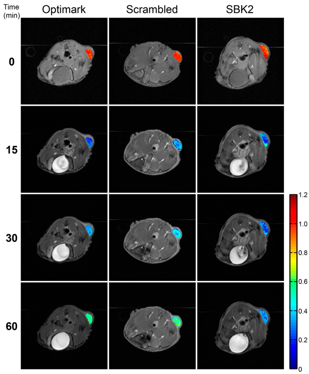 Diagnostics 05 00318 g002 1024
