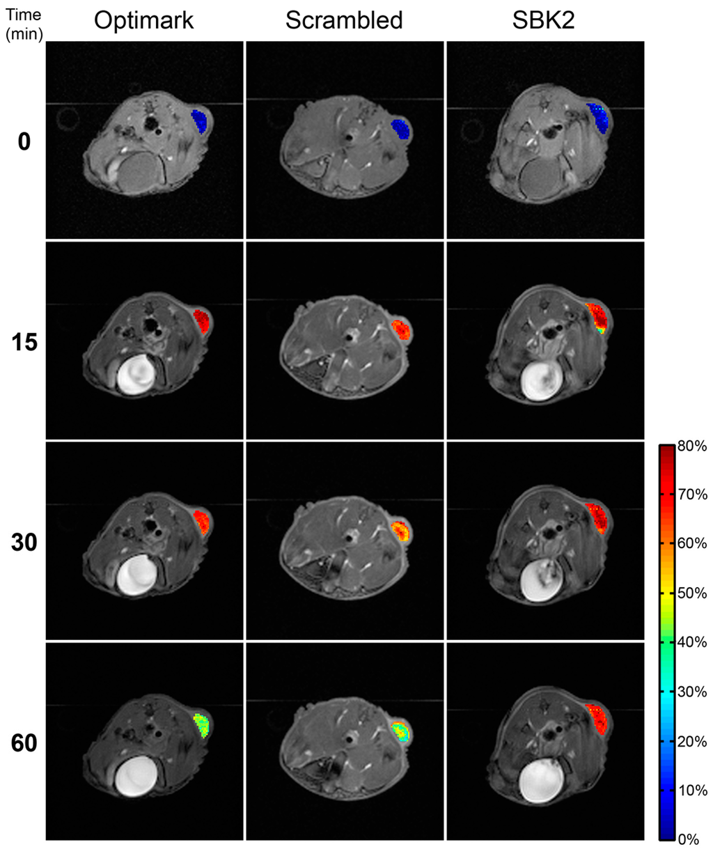 Diagnostics 05 00318 g004 1024
