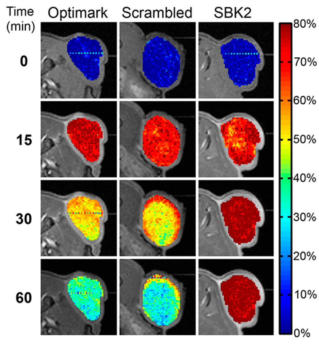 Diagnostics 05 00318 g005 1024