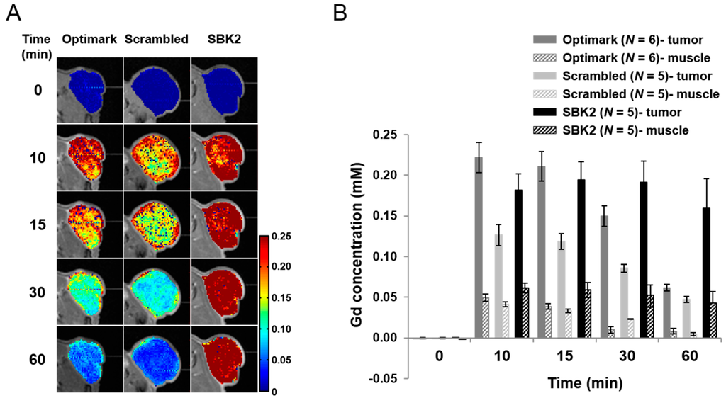 Diagnostics 05 00318 g006 1024