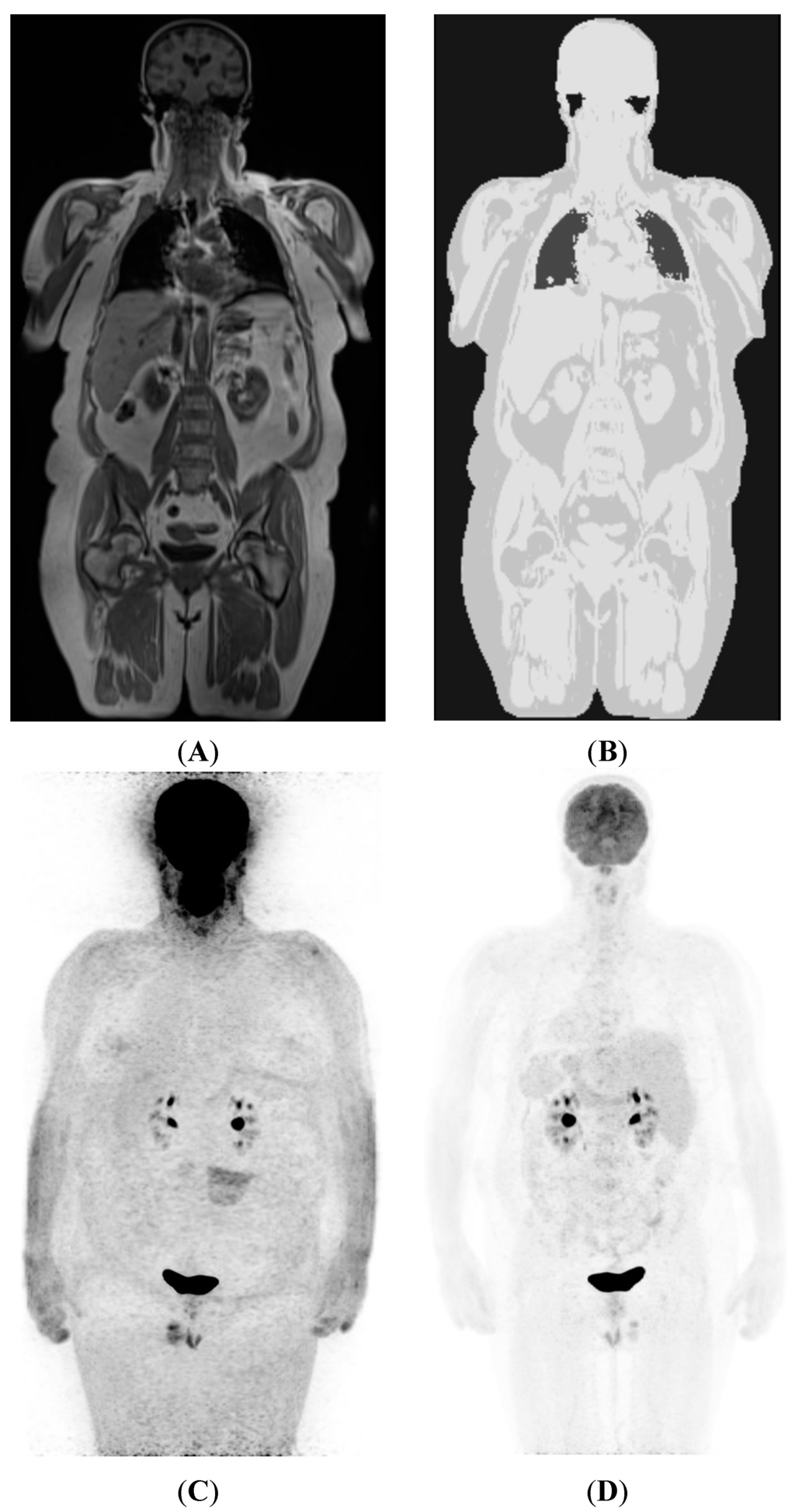 Diagnostics 05 00333 g001 1024