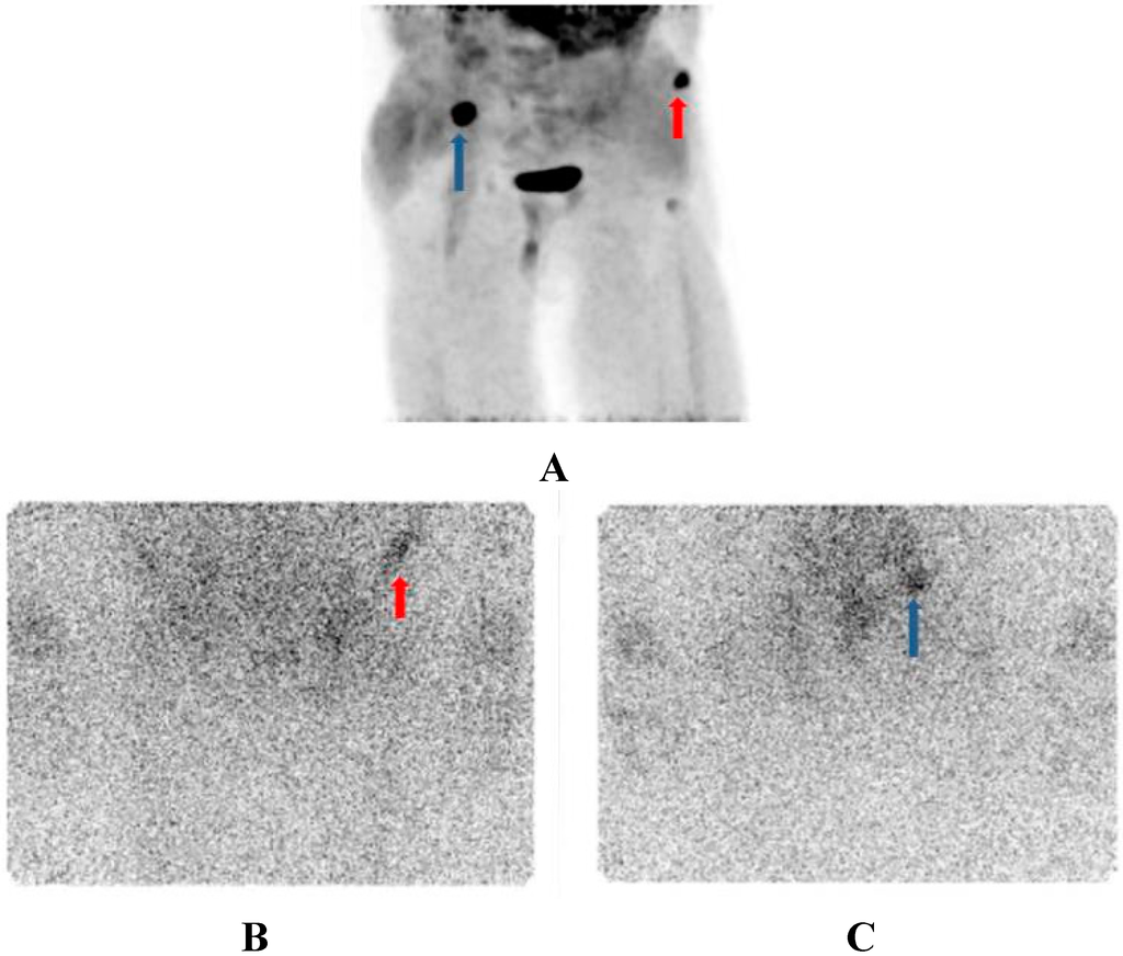 Diagnostics 05 00358 g004 1024