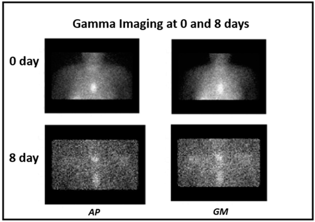Diagnostics 05 00358 g005 1024