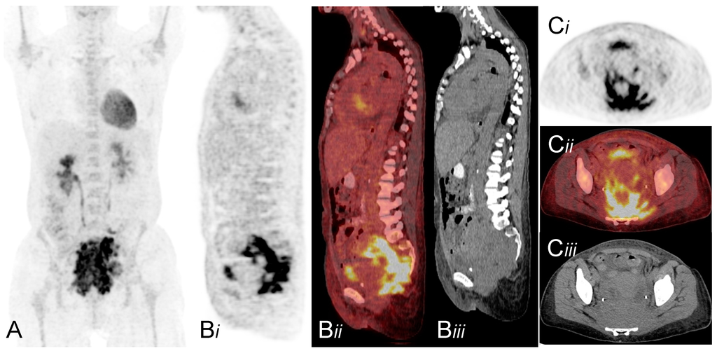 Diagnostics 05 00369 g001 1024