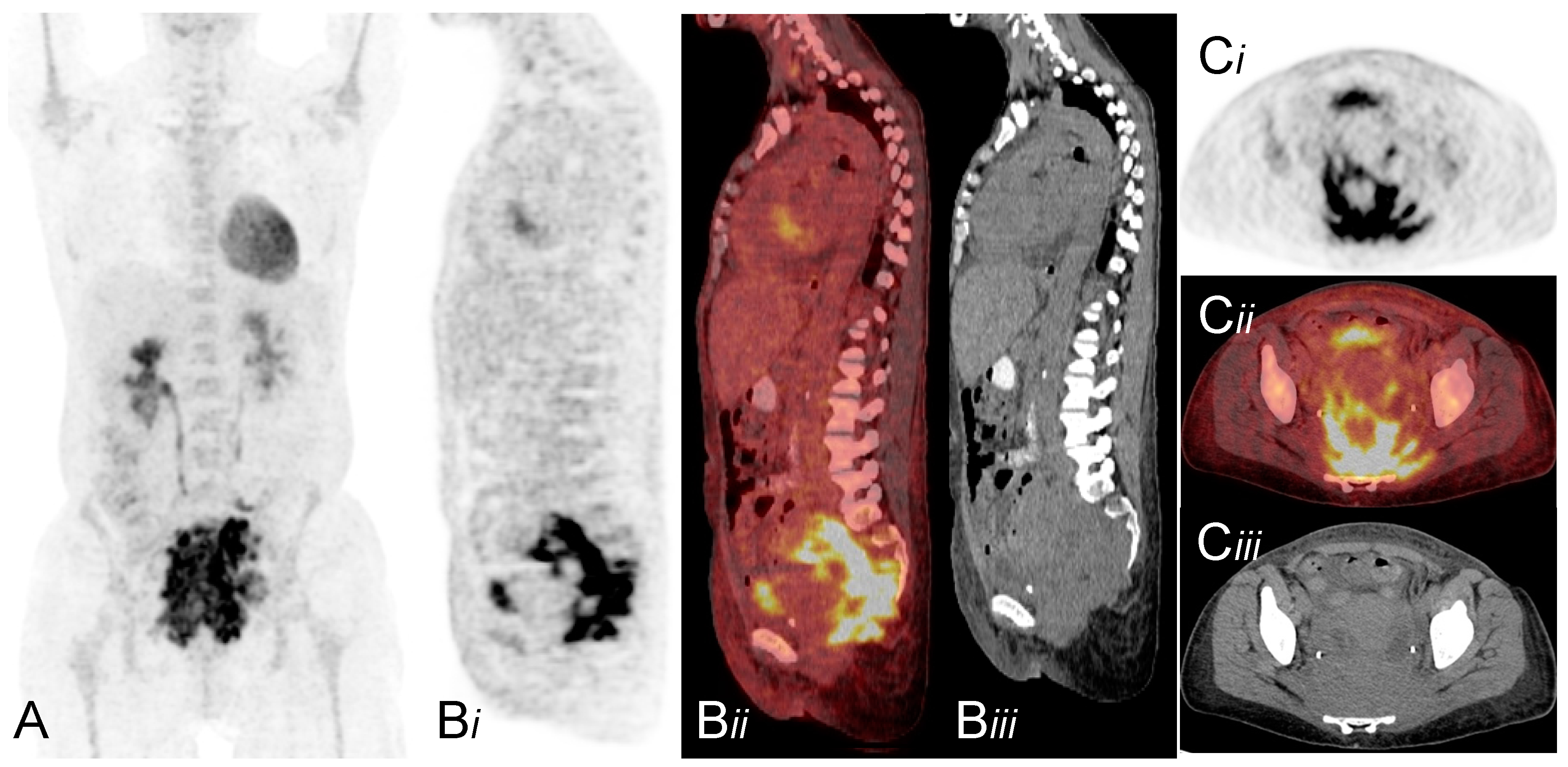 Diagnostics 05 00369 g001