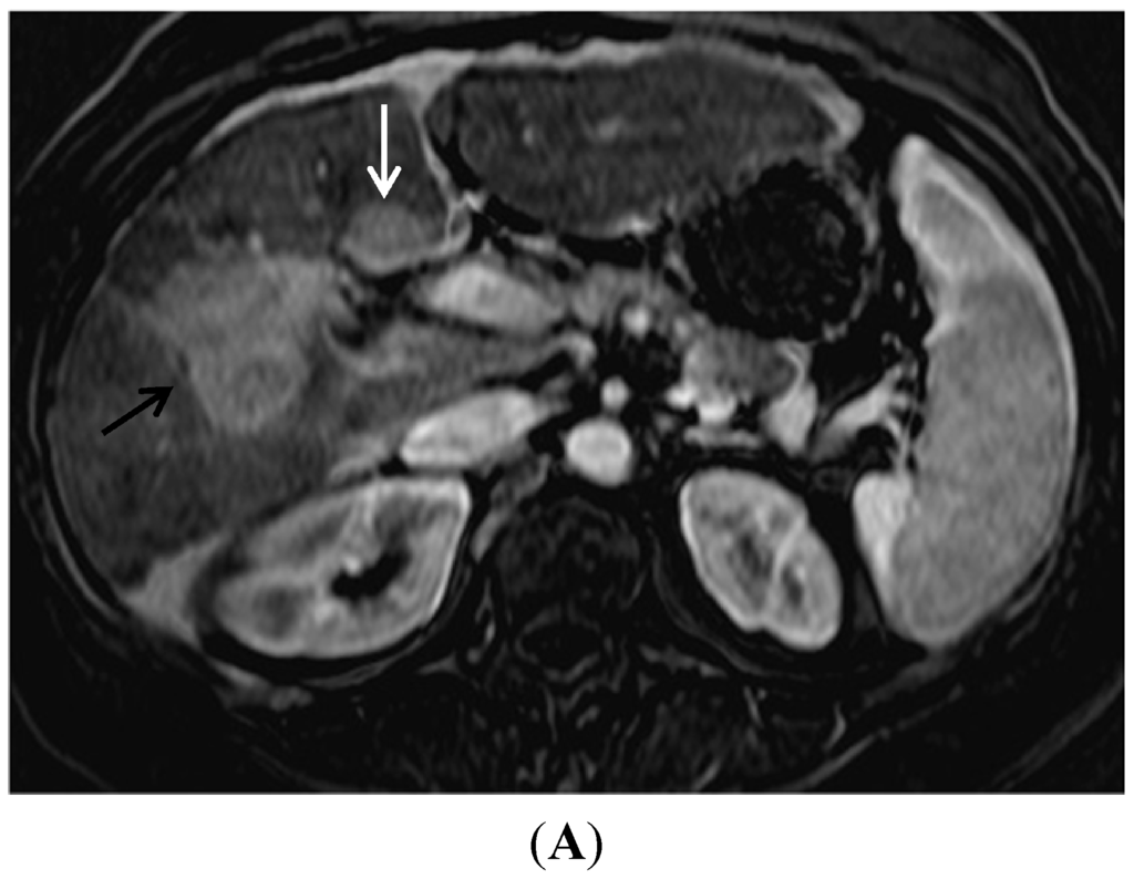 Diagnostics 05 00383 g004a 1024