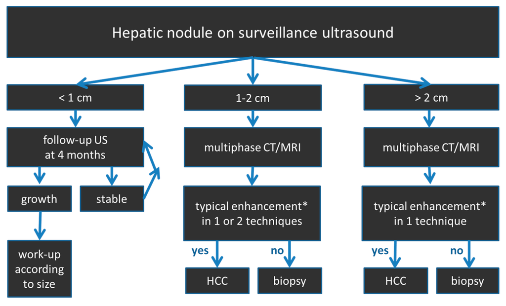Diagnostics 05 00513 g002 1024