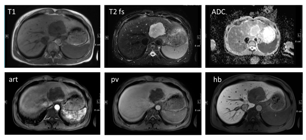 Diagnostics 05 00513 g003 1024