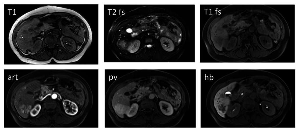 Diagnostics 05 00513 g004 1024