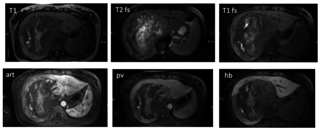 Diagnostics 05 00513 g005 1024