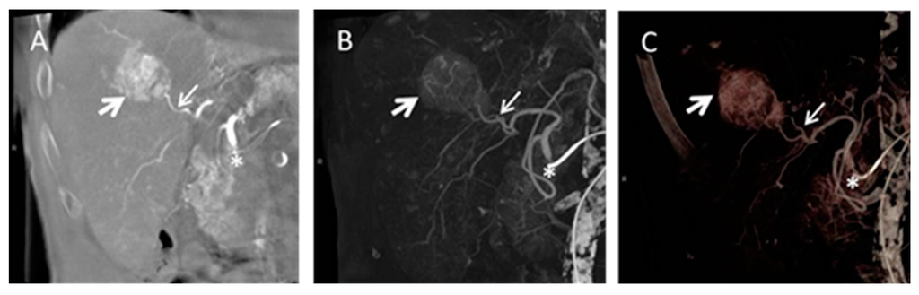 Diagnostics 05 00513 g008 1024