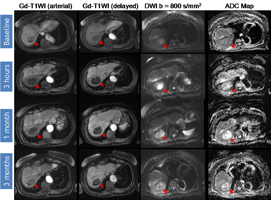 Diagnostics 05 00546 g001 1024