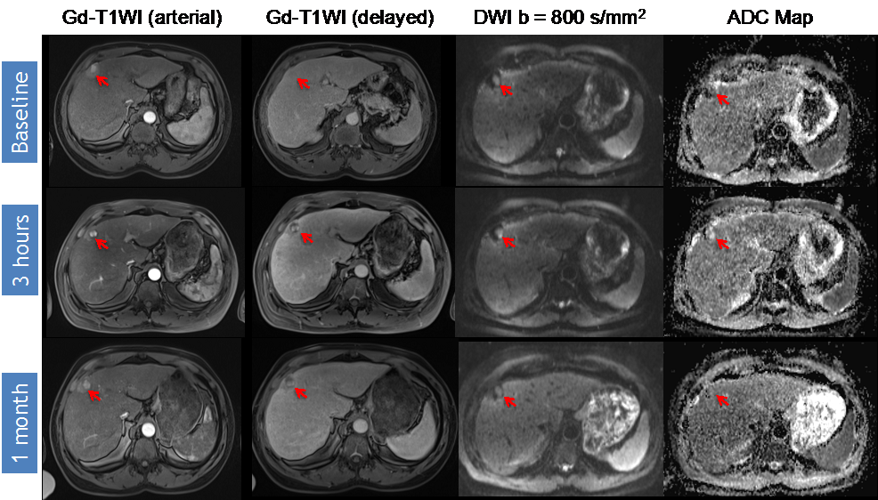 Diagnostics 05 00546 g002 1024
