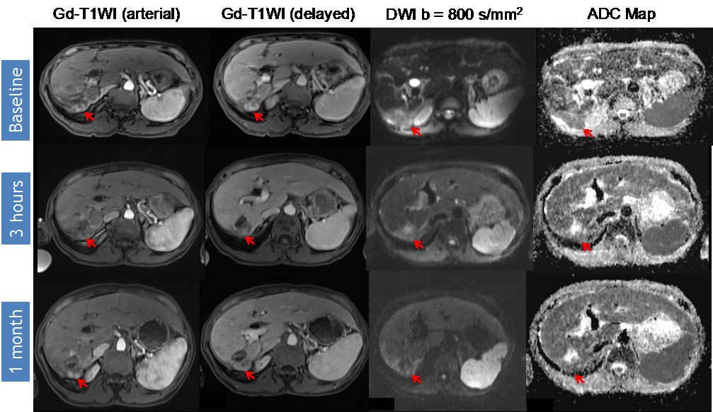 Diagnostics 05 00546 g003 1024