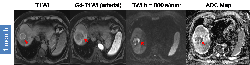 Diagnostics 05 00546 g004 1024