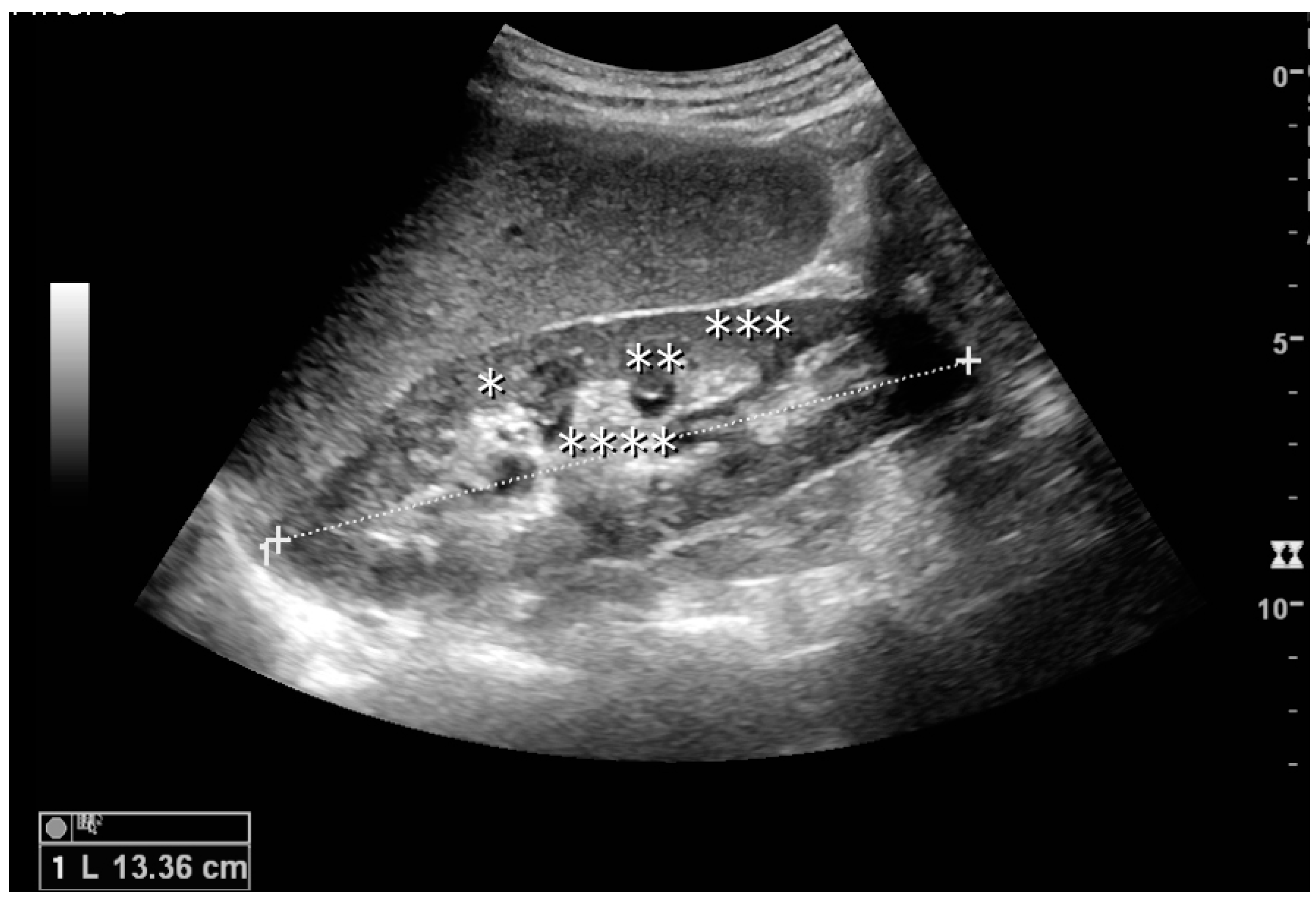 Diagnostics 06 00002 g001