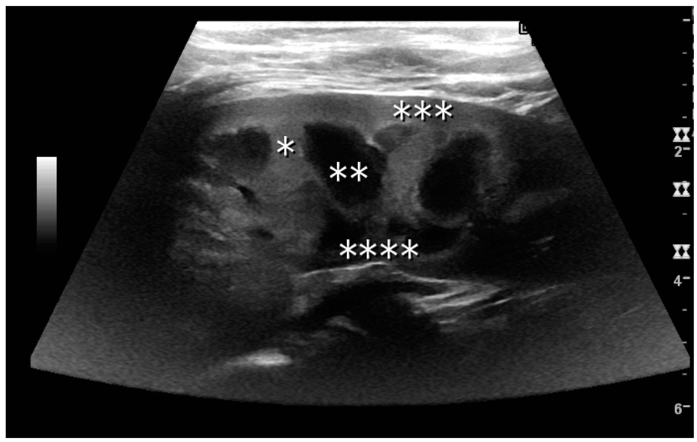 Diagnostics 06 00002 g002