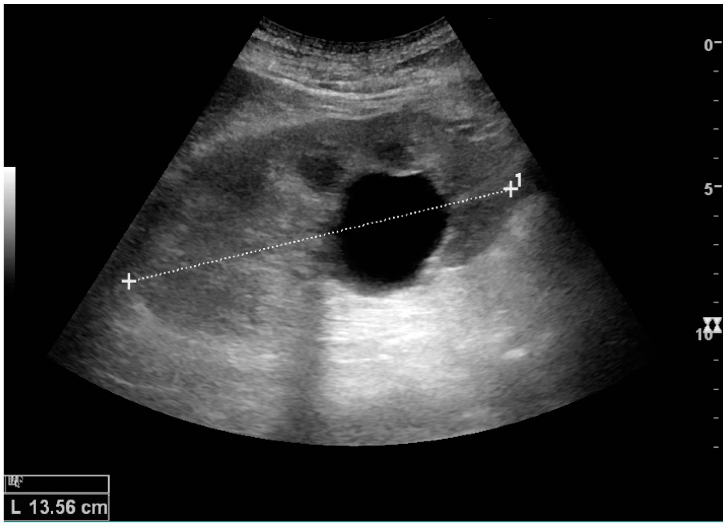 Diagnostics 06 00002 g005