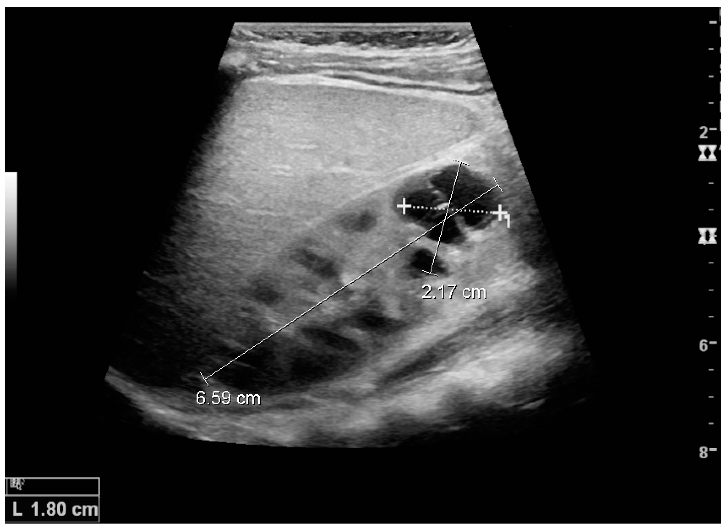 Diagnostics 06 00002 g006