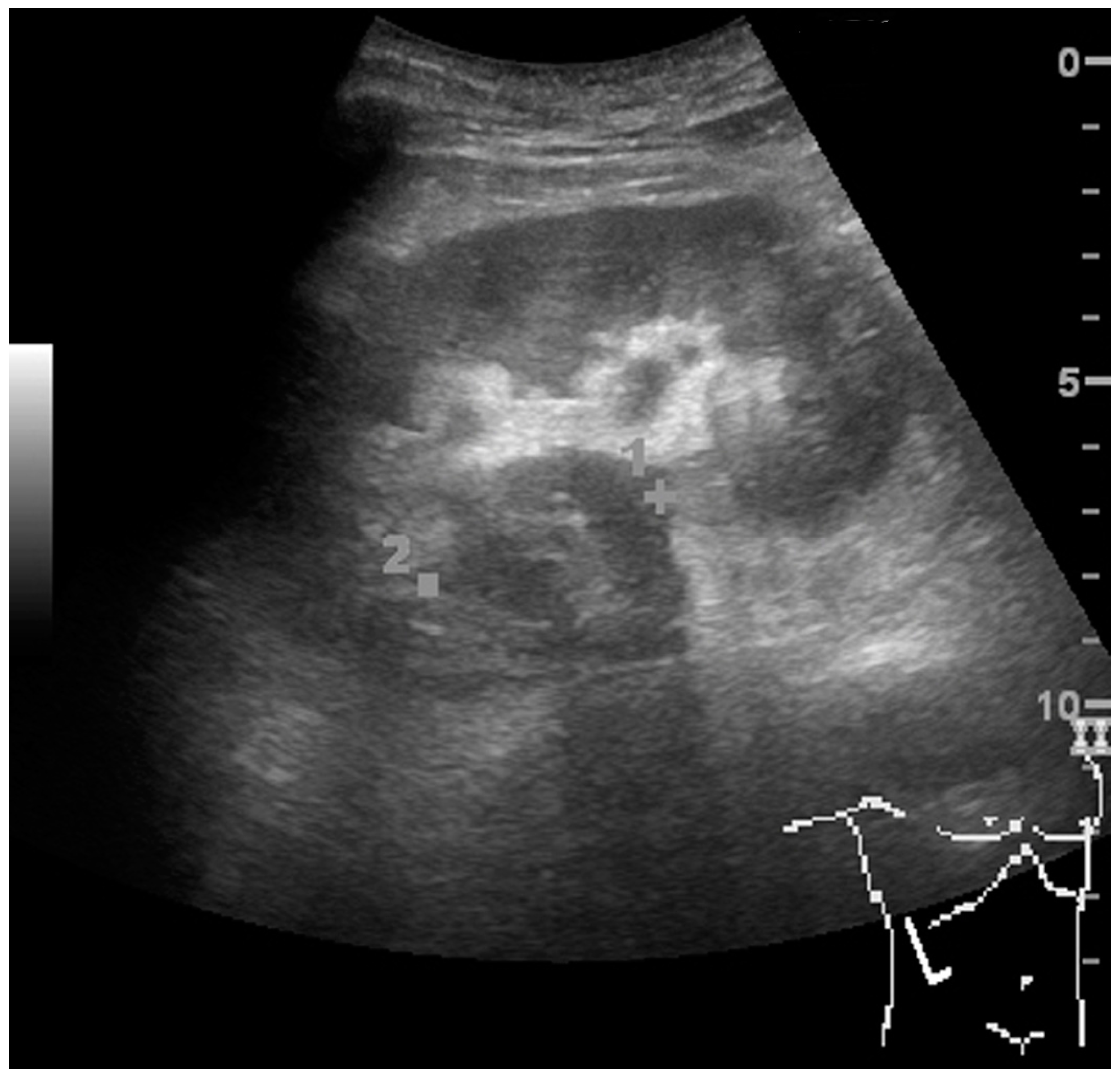 Diagnostics 06 00002 g010