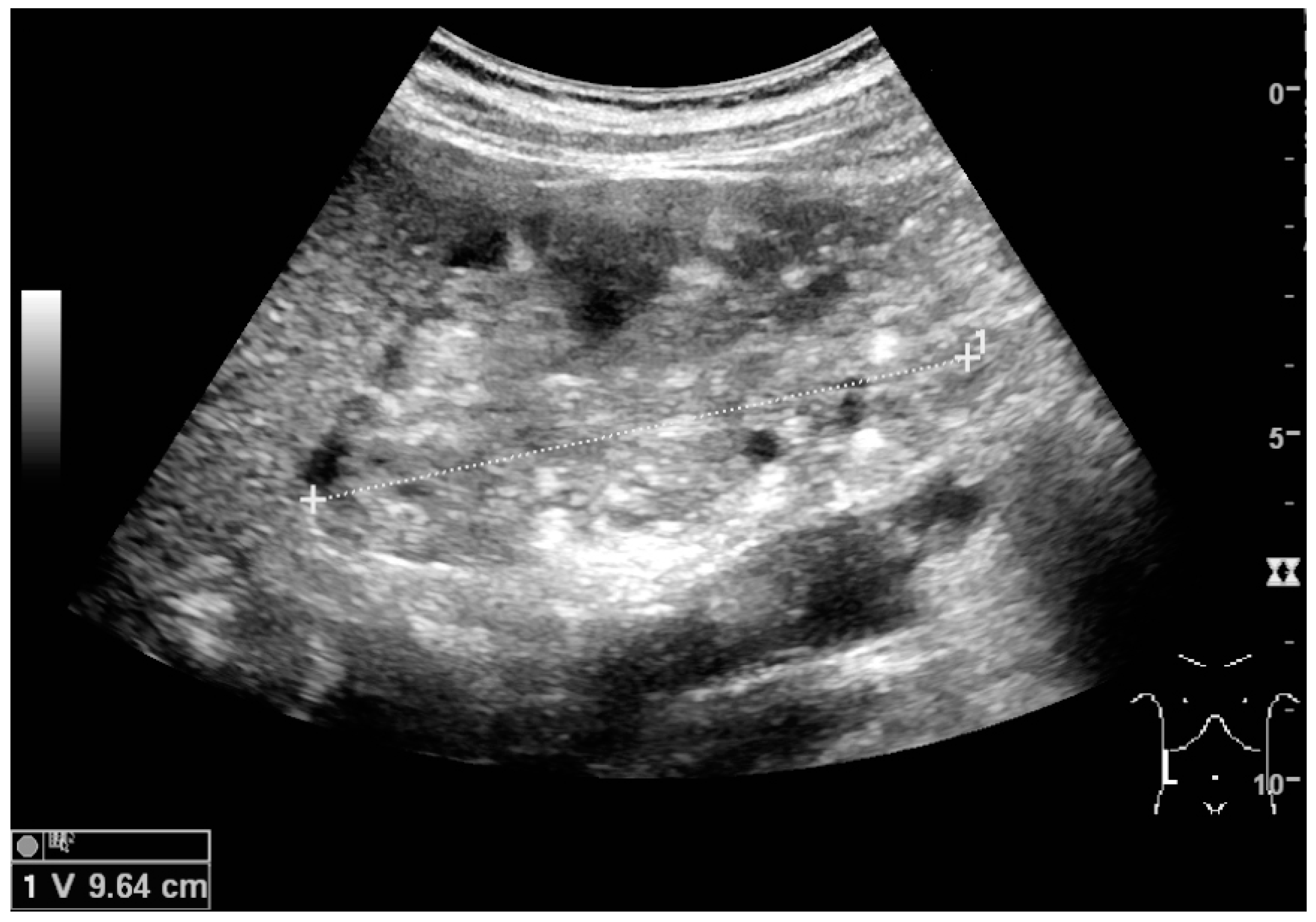 Diagnostics 06 00002 g012