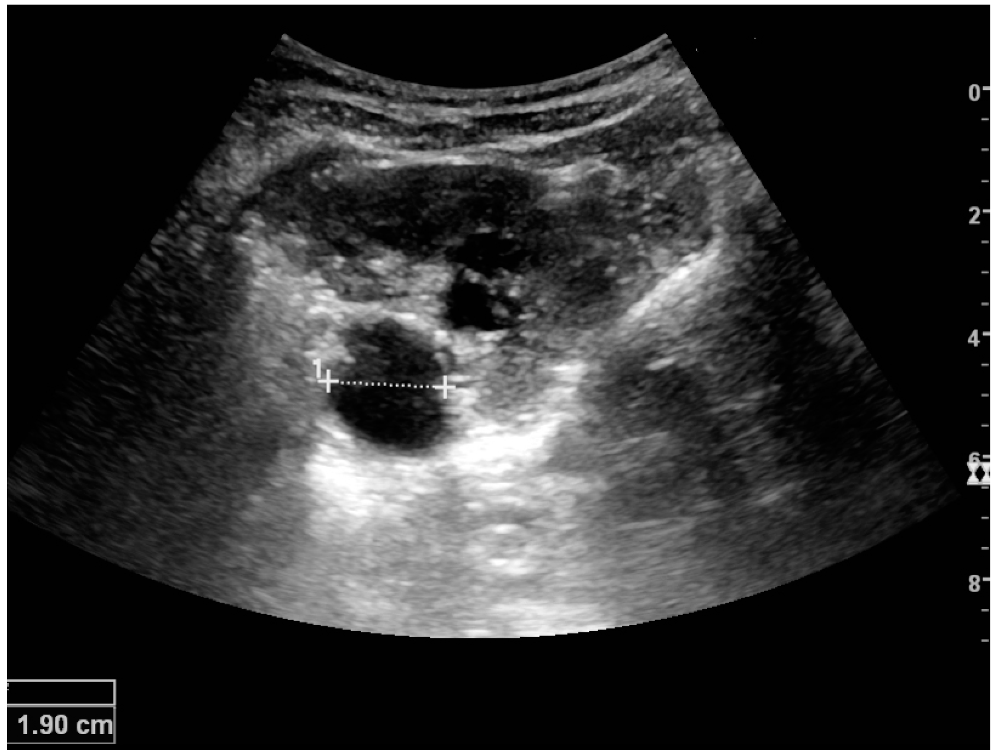 Diagnostics 06 00002 g017