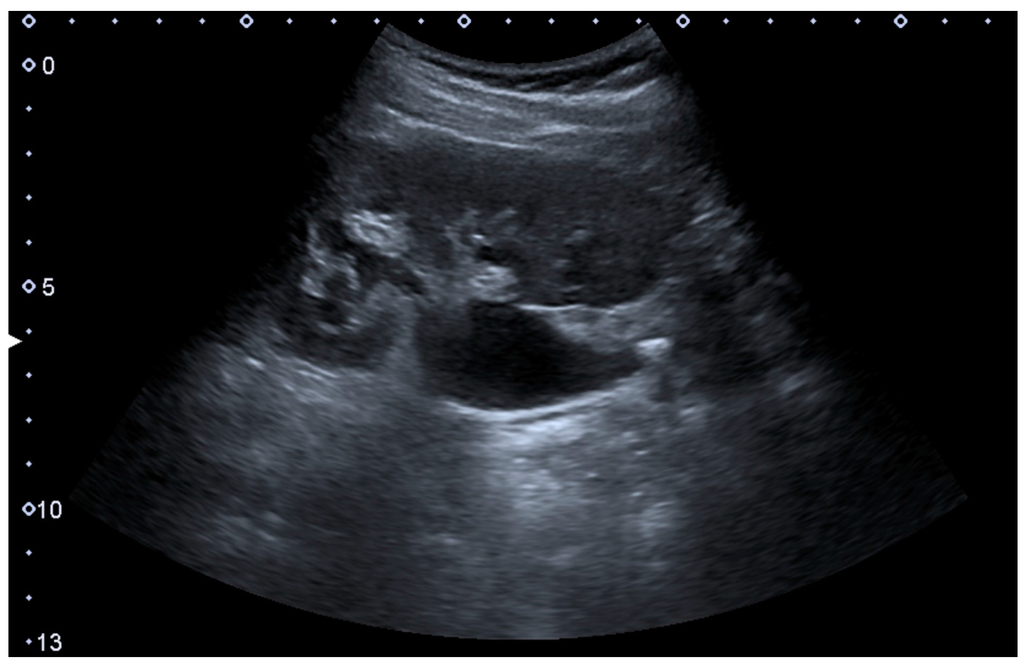 Diagnostics 06 00002 g018 1024