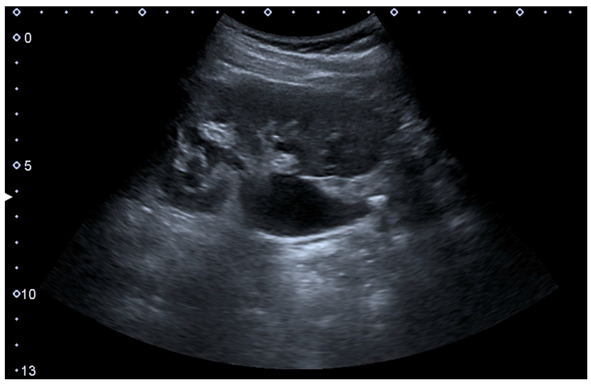 Diagnostics 06 00002 g018