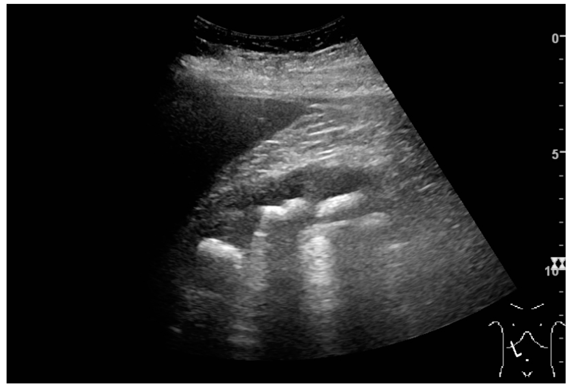 Diagnostics 06 00002 g020
