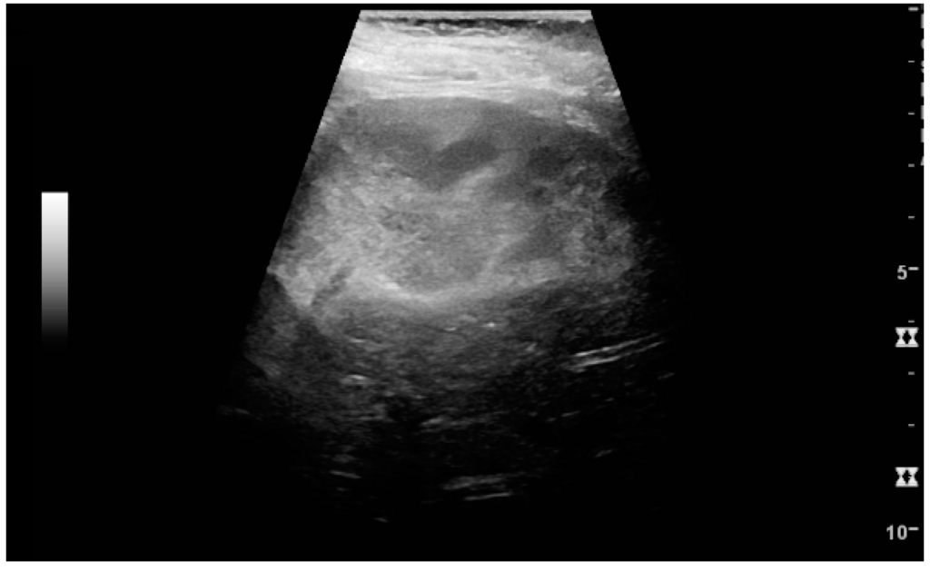 Diagnostics 06 00002 g026 1024