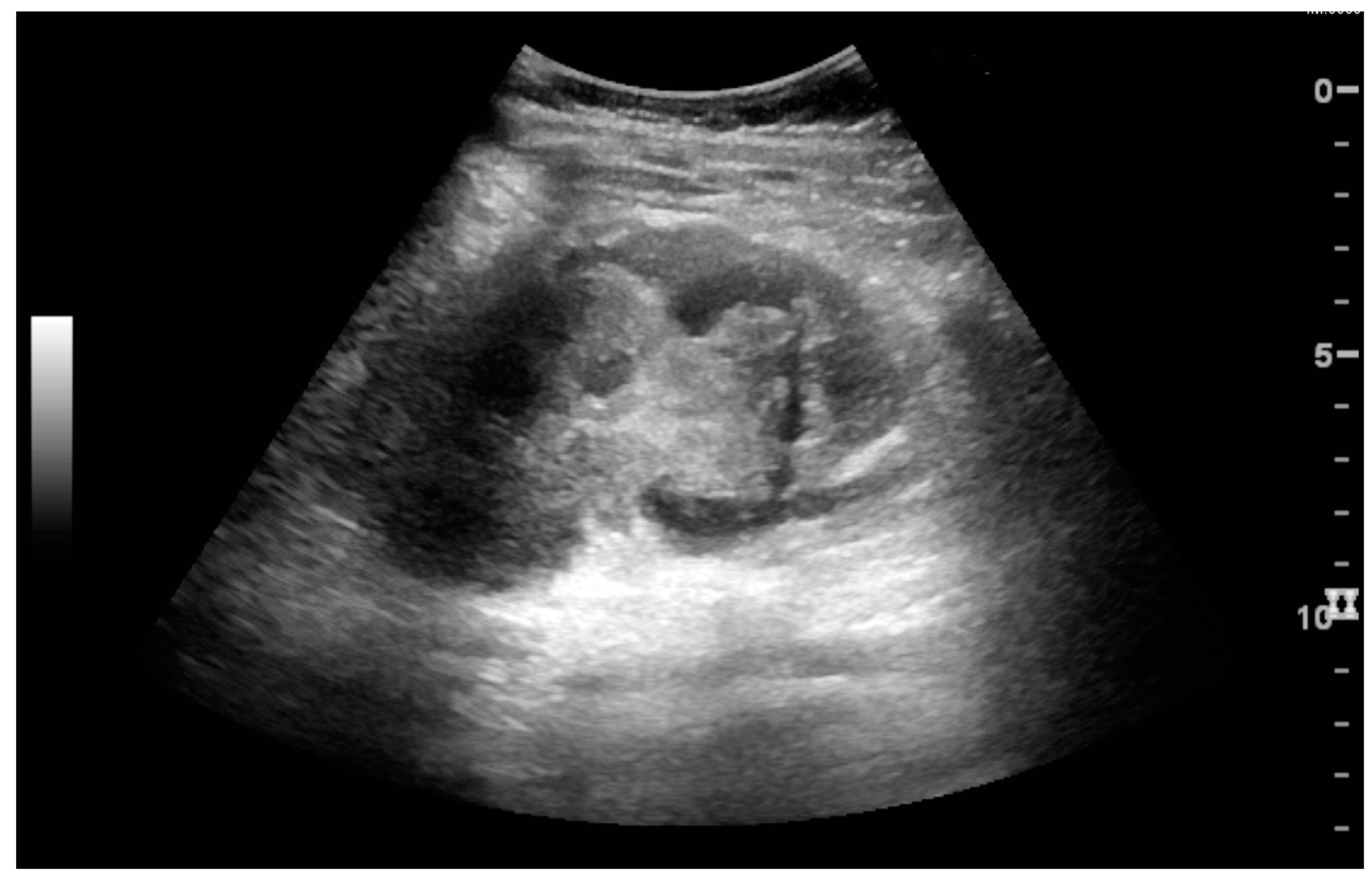 Diagnostics 06 00002 g028