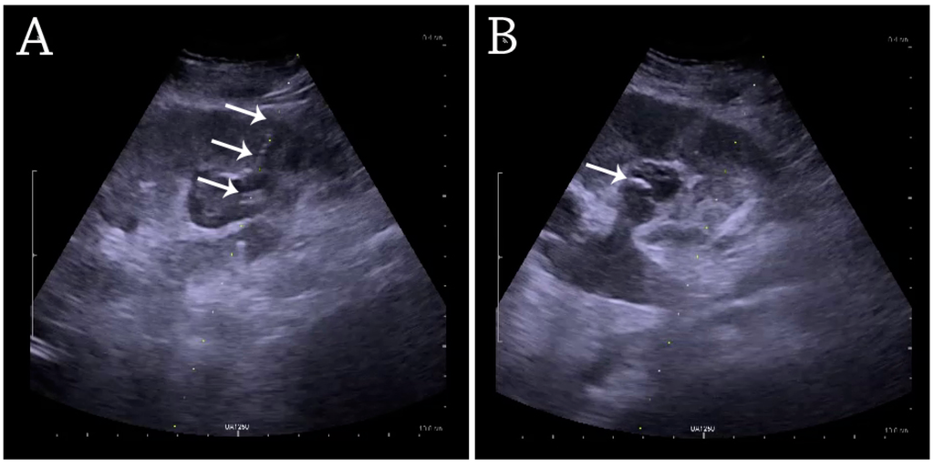 Diagnostics 06 00002 g029 1024