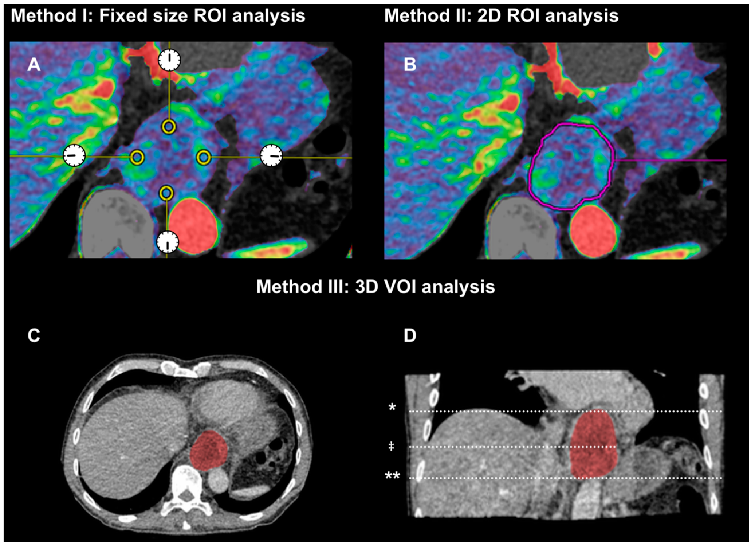 Diagnostics 06 00008 g001