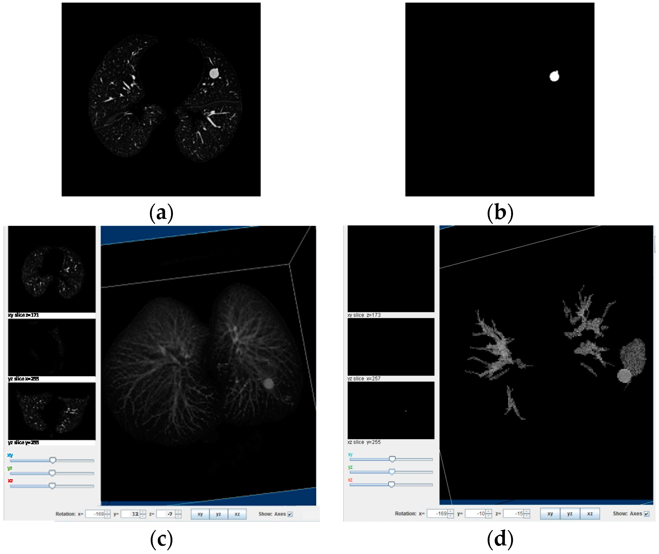 Diagnostics 06 00013 g002