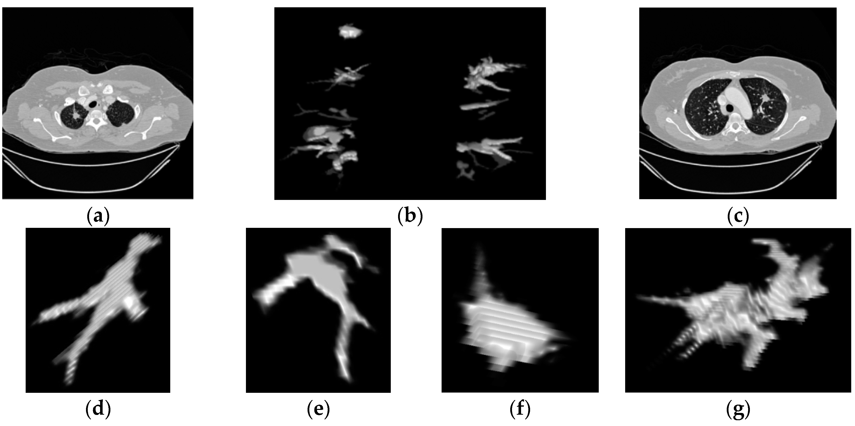 Diagnostics 06 00013 g005