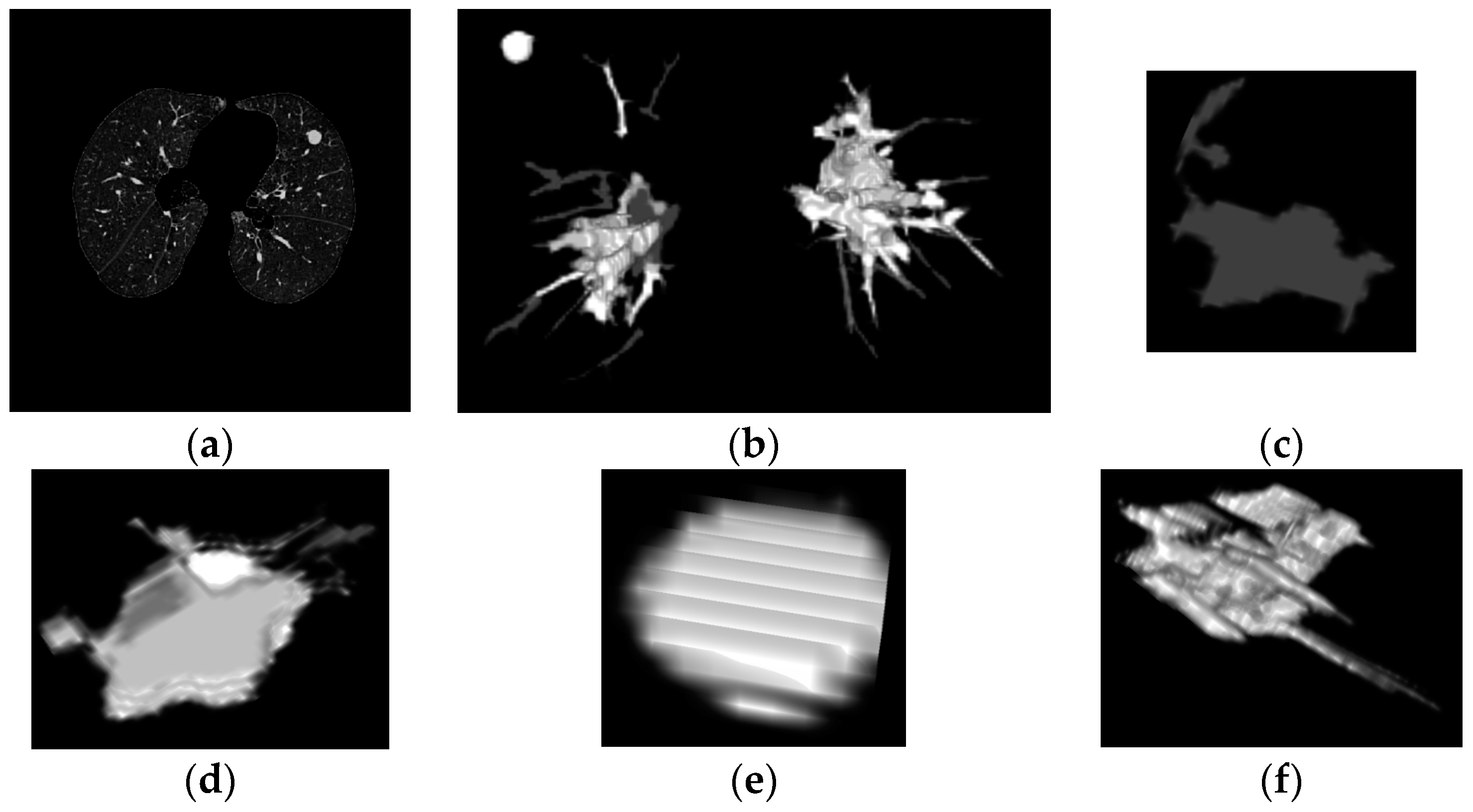 Diagnostics 06 00013 g006