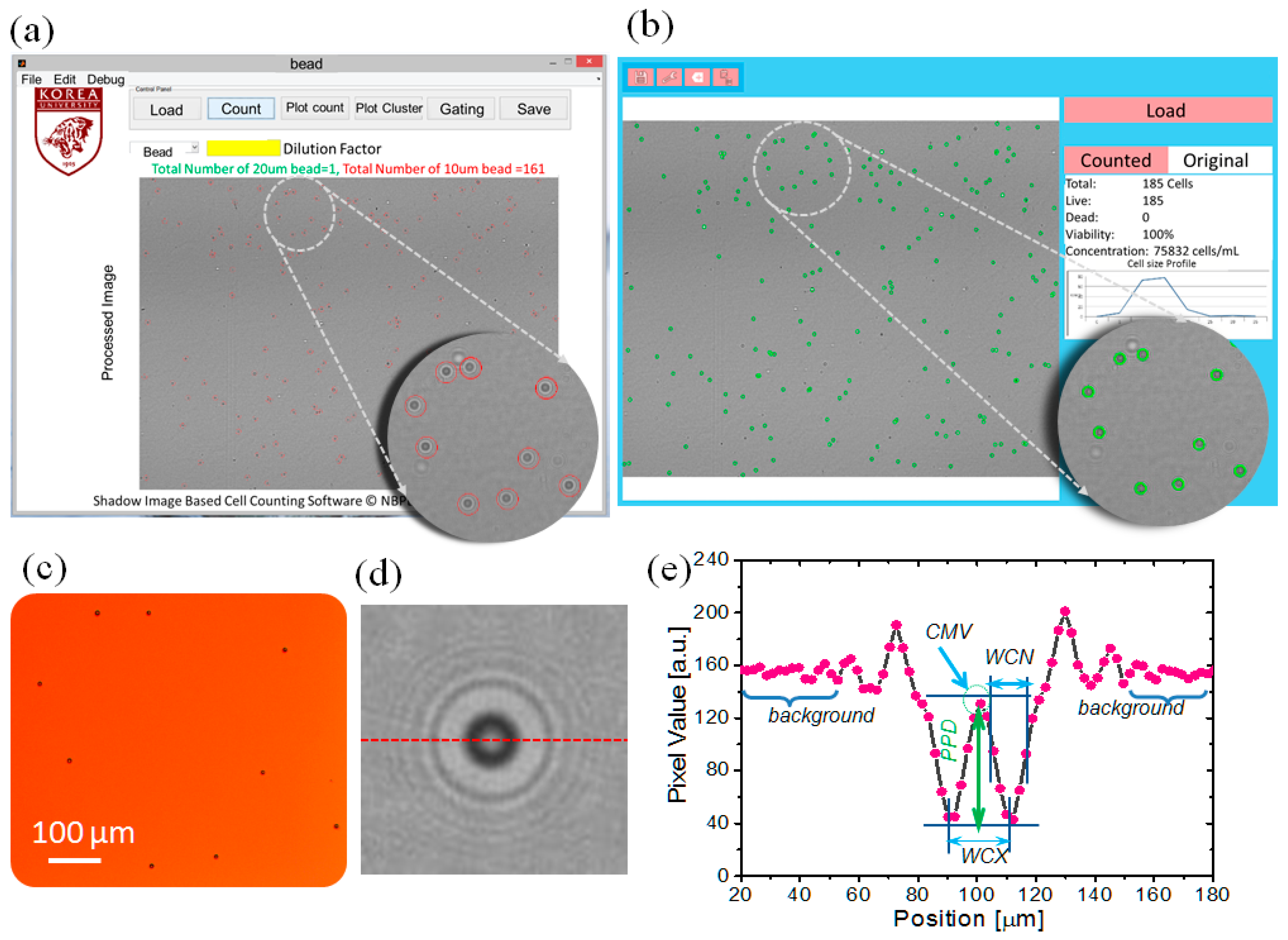 Diagnostics 06 00017 g003