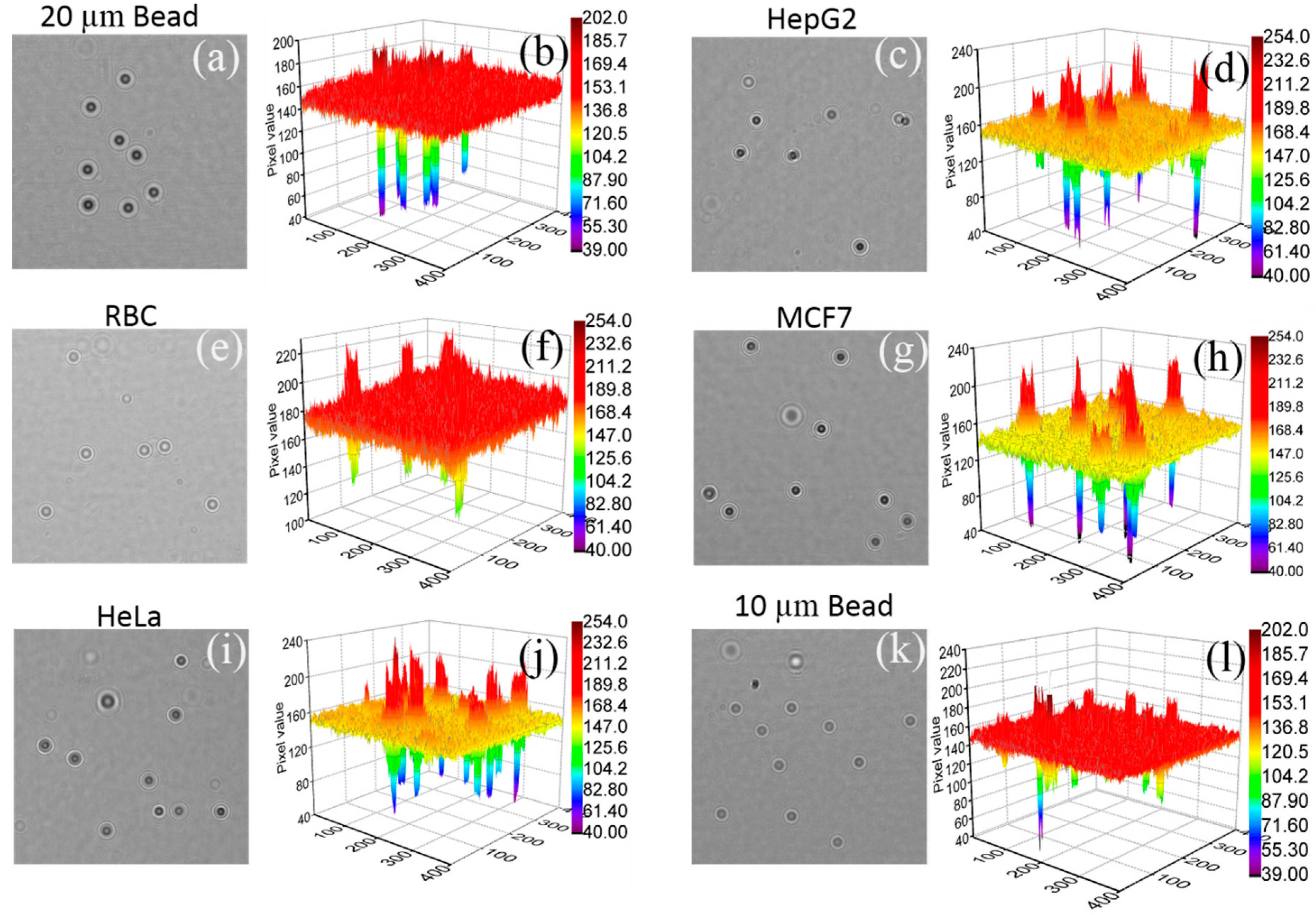 Diagnostics 06 00017 g004