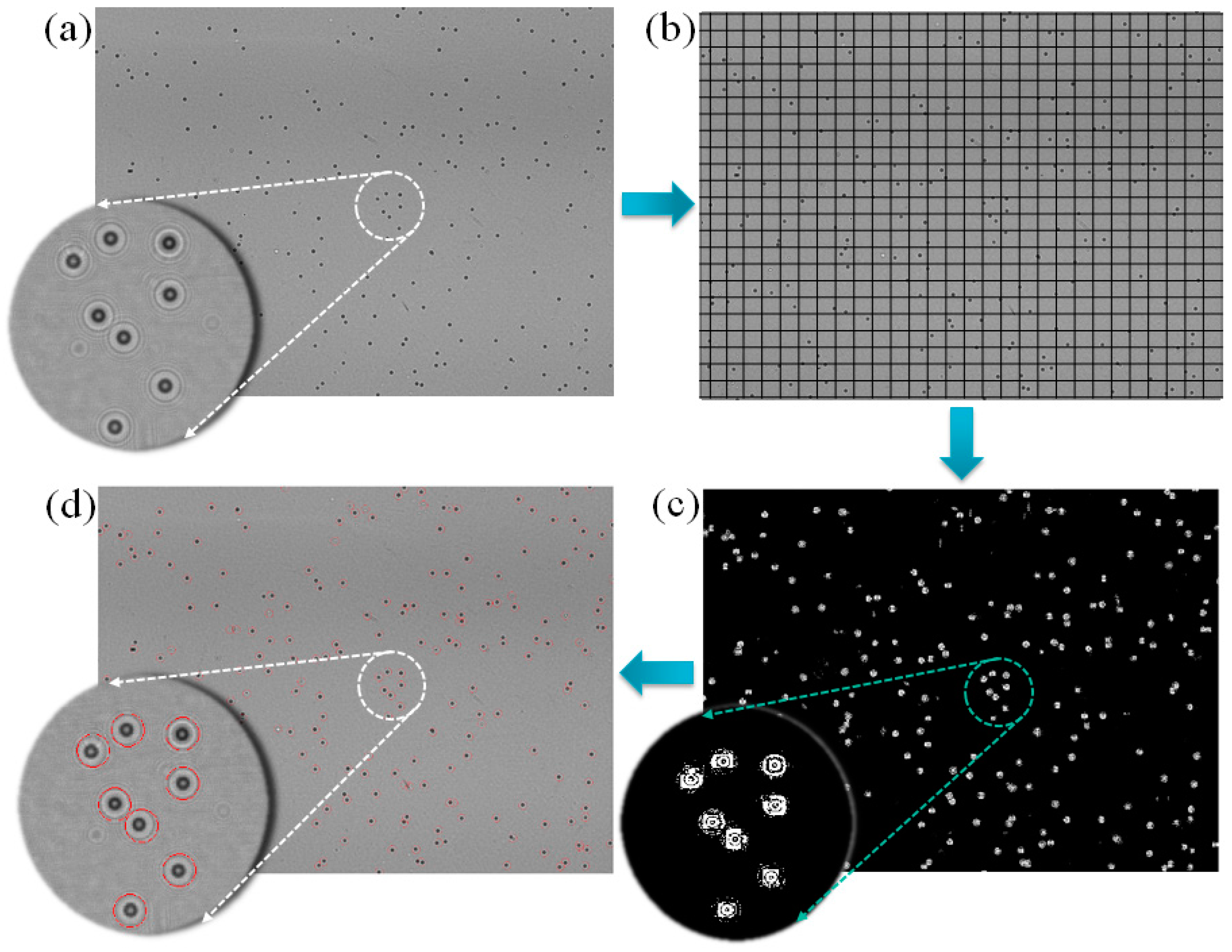 Diagnostics 06 00017 g005