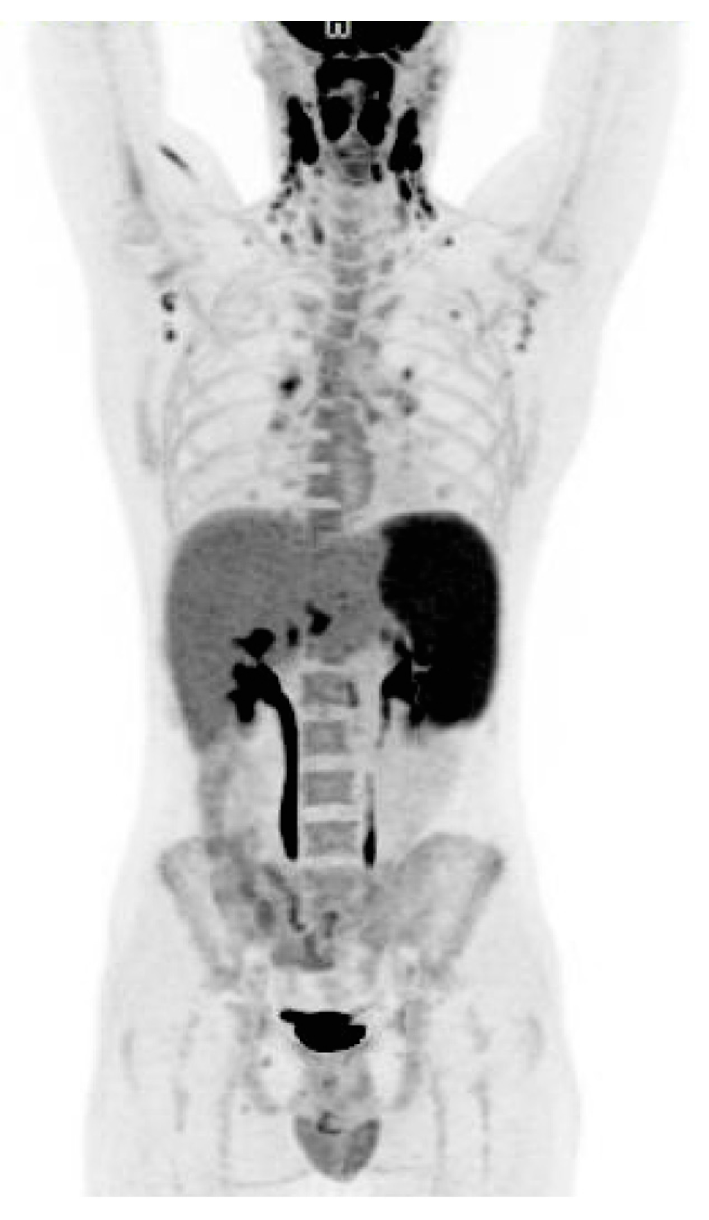 Diagnostics 06 00018 g001 1024